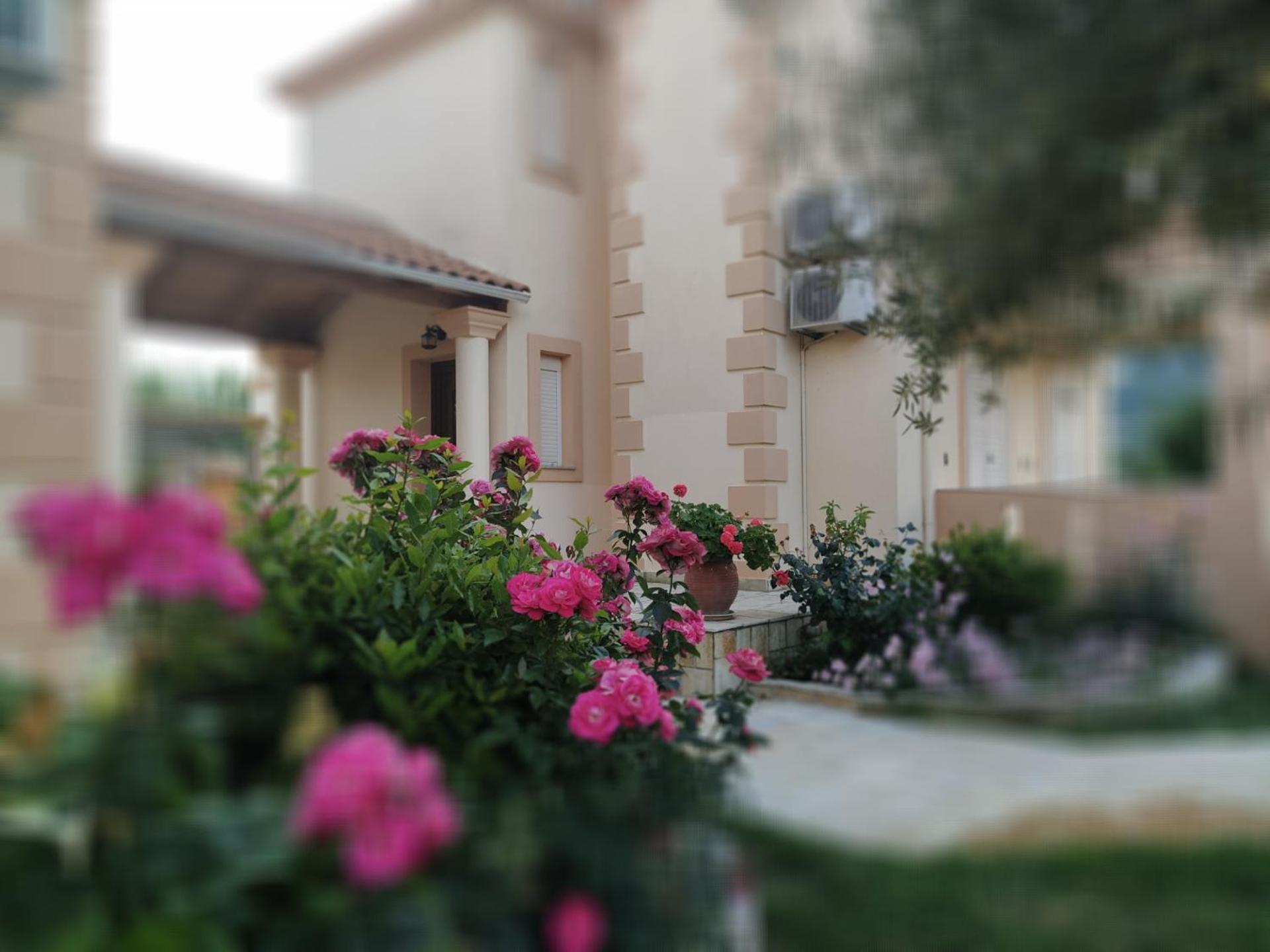Villa Agrilida ヴァシリキ エクステリア 写真